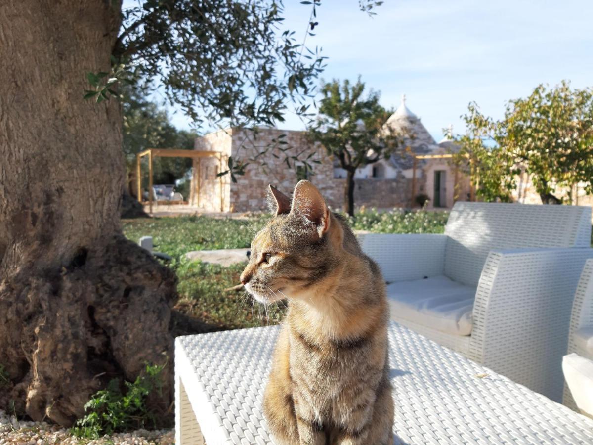 Il Fiore Della Vita Trulli Country House Conversano Exterior foto